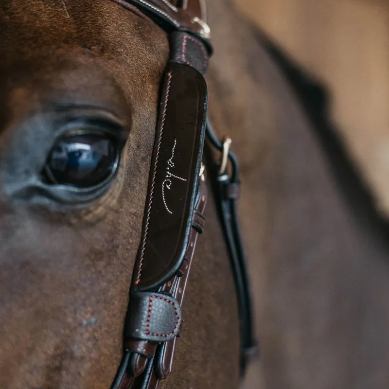 Dyon Fancy Leather Bridle Winkers - Brown