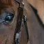 Dyon Fancy Leather Bridle Winkers - Brown