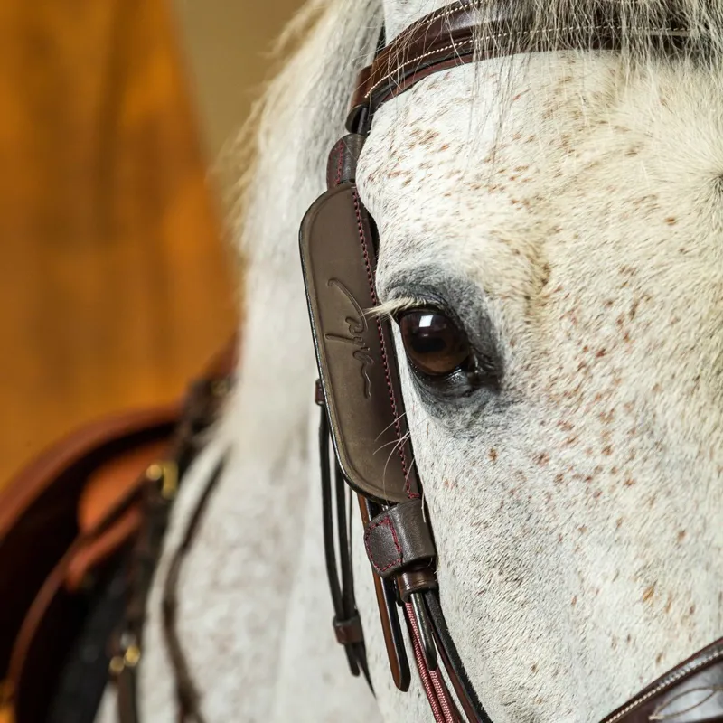 Dy'on Leather Bridle Blinders - Brown-1