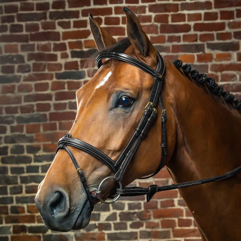 Dy'on D Collection Flash Bridle - Black-1