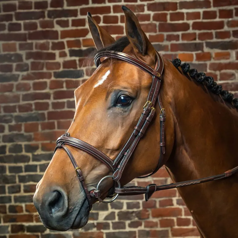 Dy'on D Collection Flash Bridle - Brown-1