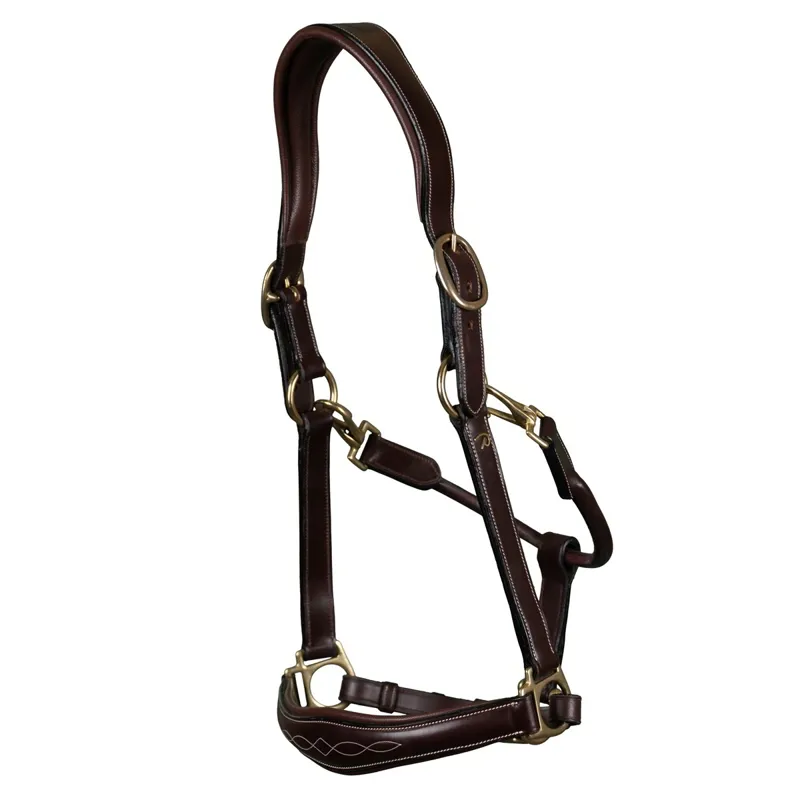 Dy'on Anatomical Leather Halter - Brown-4