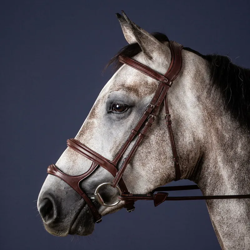 Dy'on New English Double Noseband Bridle - Brown-1