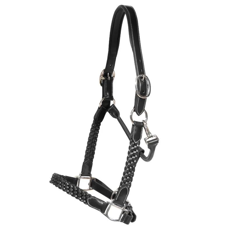 Dy'on Working Plaited Leather Halter - Black-1