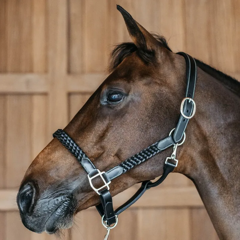 Dy'on Working Plaited Leather Halter - Black