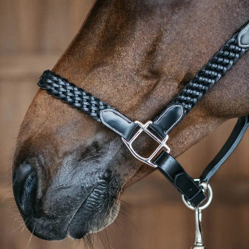 Dy'on Working Plaited Leather Halter - Black-2