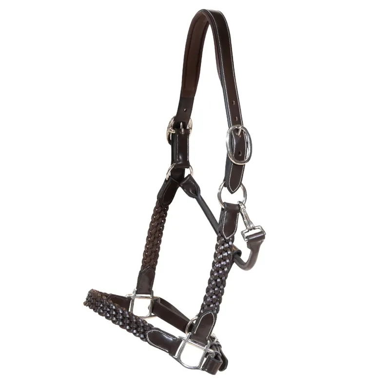 Dy'on Working Plaited Leather Halter - Brown-1