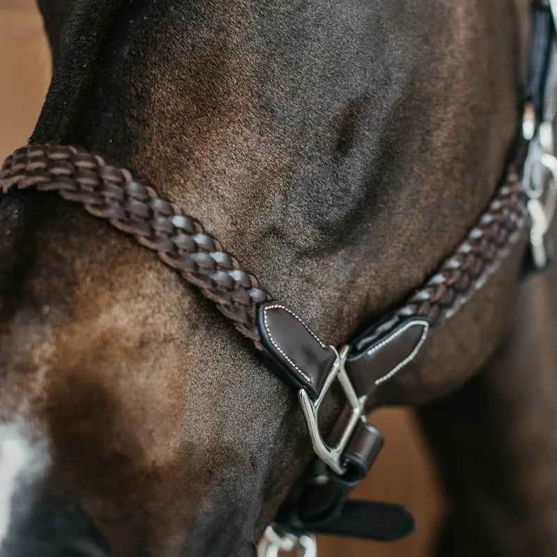Dy'on Working Plaited Leather Halter - Brown-2