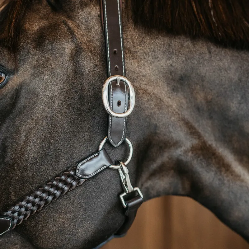 Dy'on Working Plaited Leather Halter - Brown-3