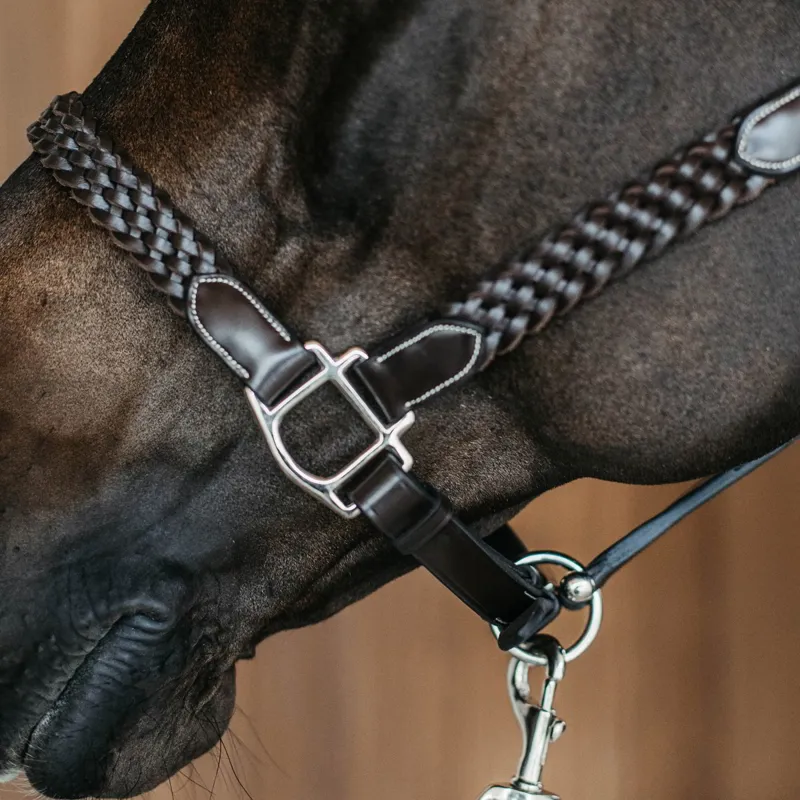 Dy'on Working Plaited Leather Halter - Brown-4