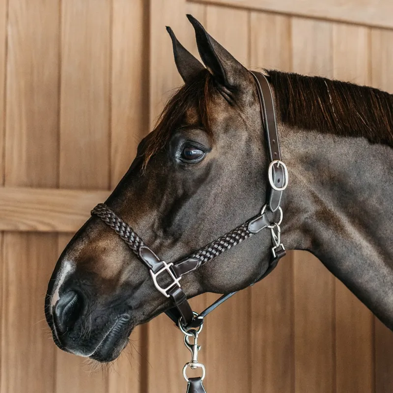 Dy'on Working Plaited Leather Halter - Brown