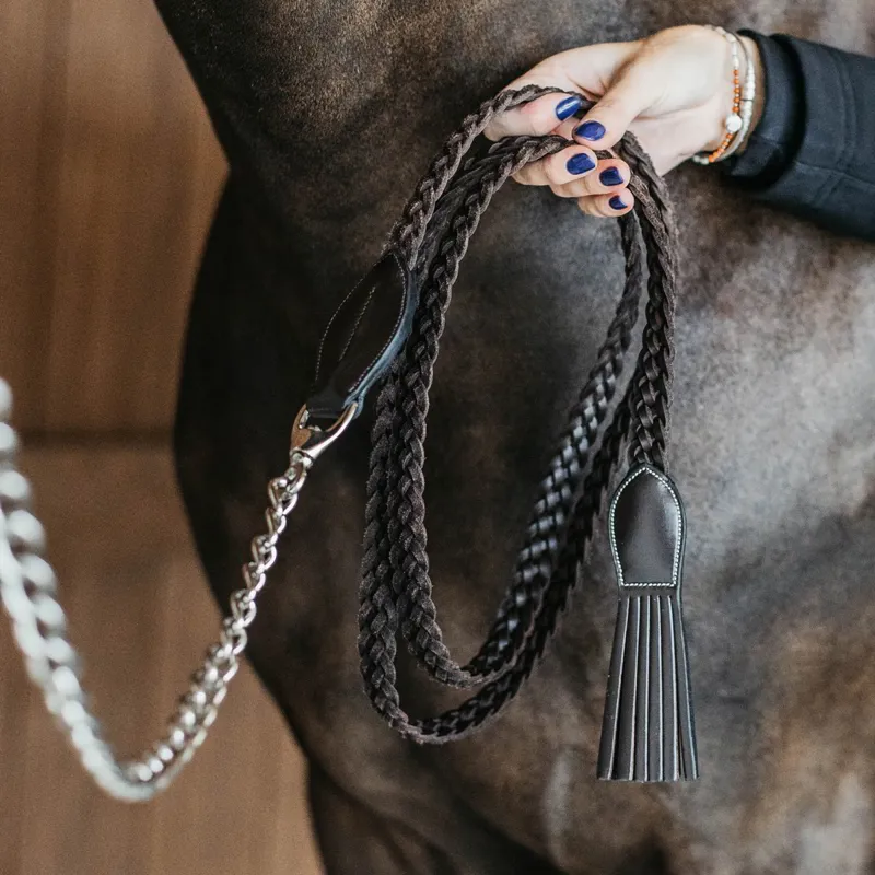 Dy'on Working Plaited Lead Shank with Chain - Brown