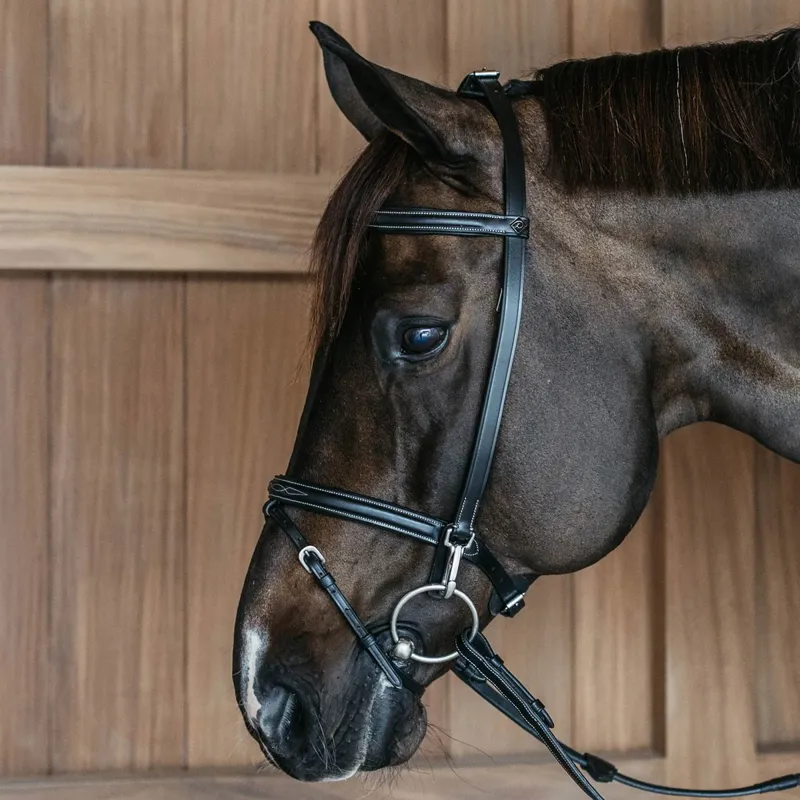 Dy'on Working Training Bridle - Black-1