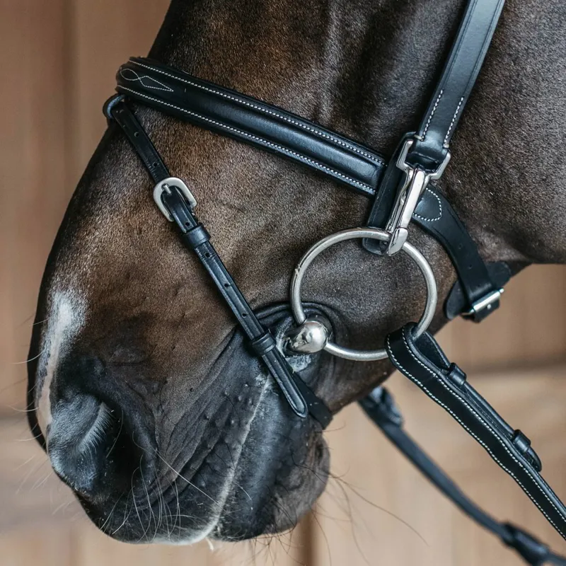 Dy'on Working Training Bridle - Black-2