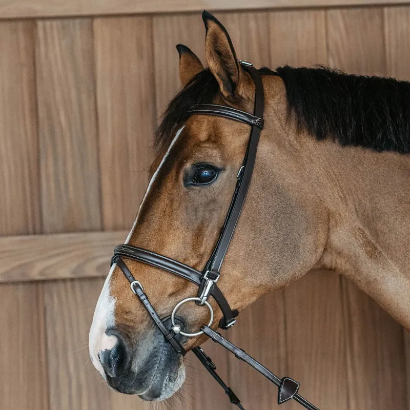 Dy'on Working Training Bridle - Brown-1