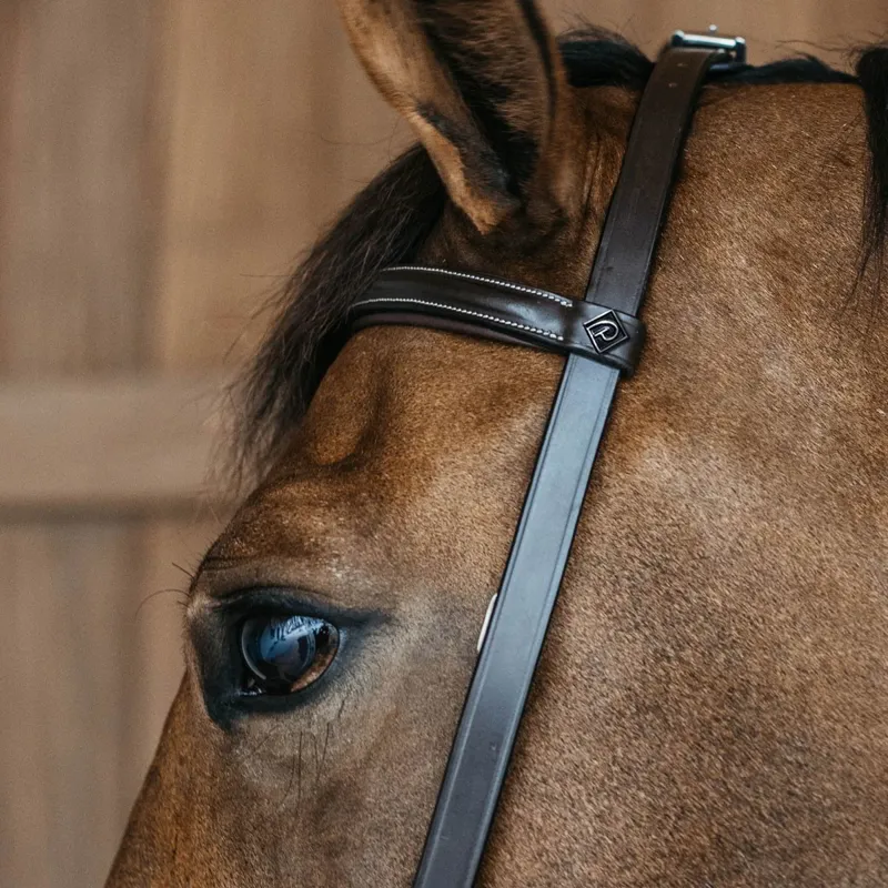 Dy'on Working Training Bridle - Brown-2