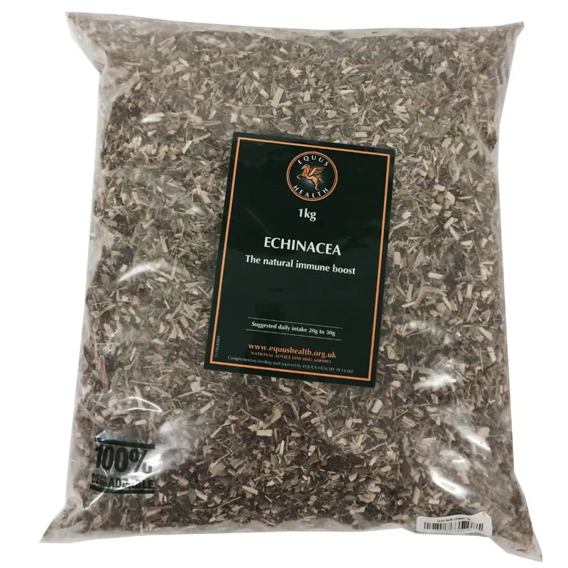 Equus Health Echinacea