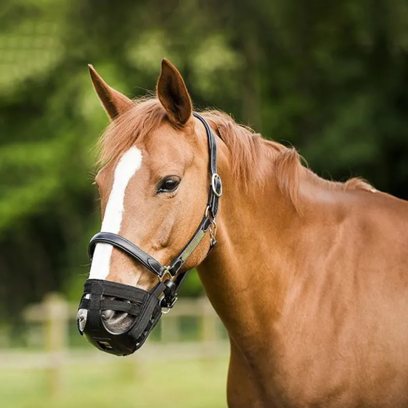 Ekkia Nylon Grazing Muzzle Black