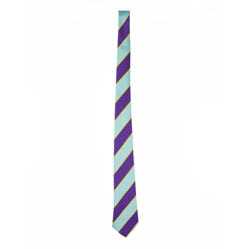 Elico PC Striped Show Tie - Sky Blue/Purple/Gold-1