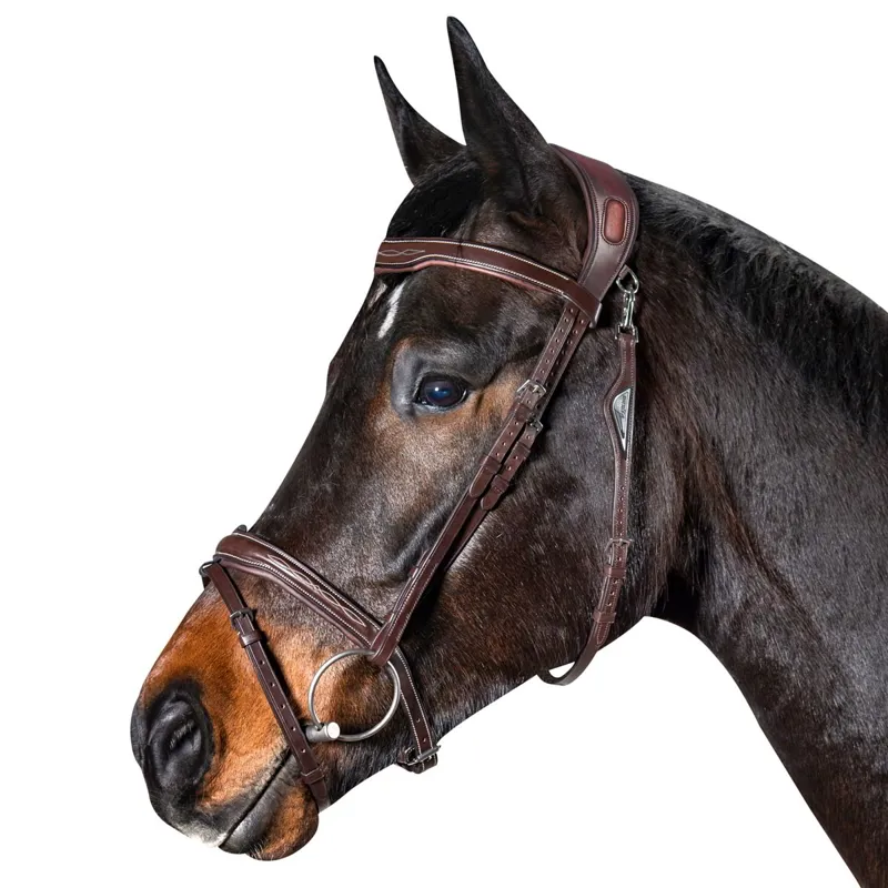 Equiline Anatomic Jumping Flash Bridle - Brown-1