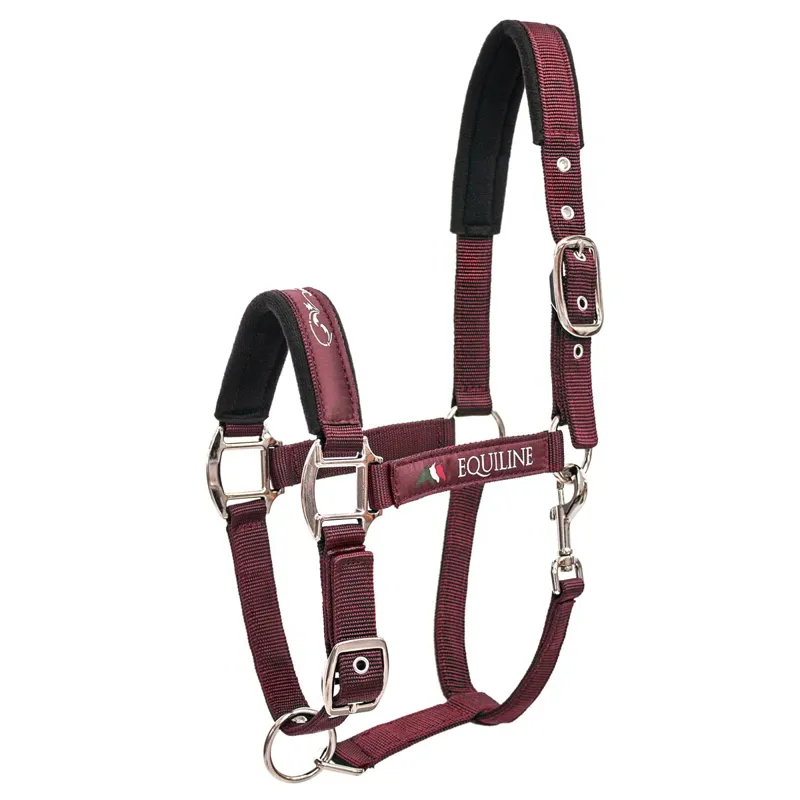 Equiline Timmy Halter - Burgundy