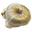 Equetech Bun Extension Hairnet - Light Blonde