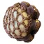 Equetech Fusion Scrunchie with Bun Net - Coffee
