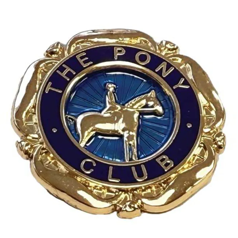 Equetech Pony Club Members Badge - Gold