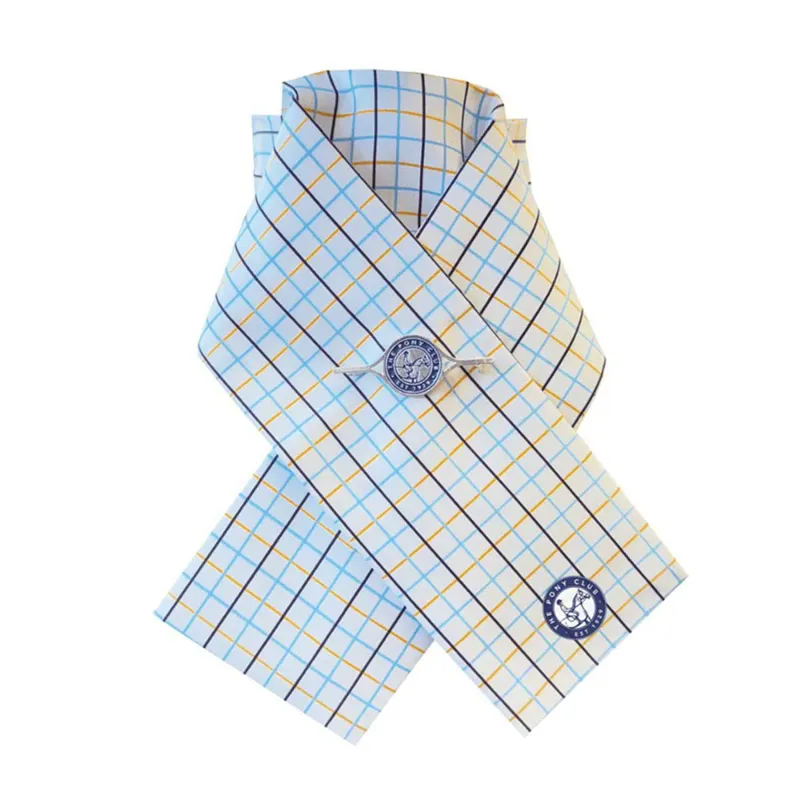 Equetech Pony Club Ready-Tied Stock Tie - White