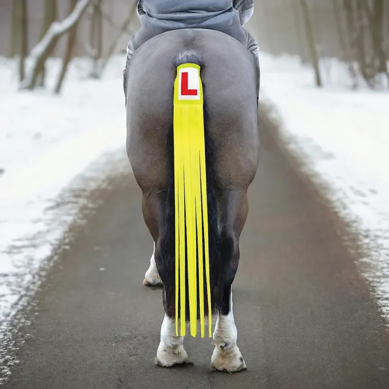 Equetech Vision Learner Tail Tassel - Neon Yellow