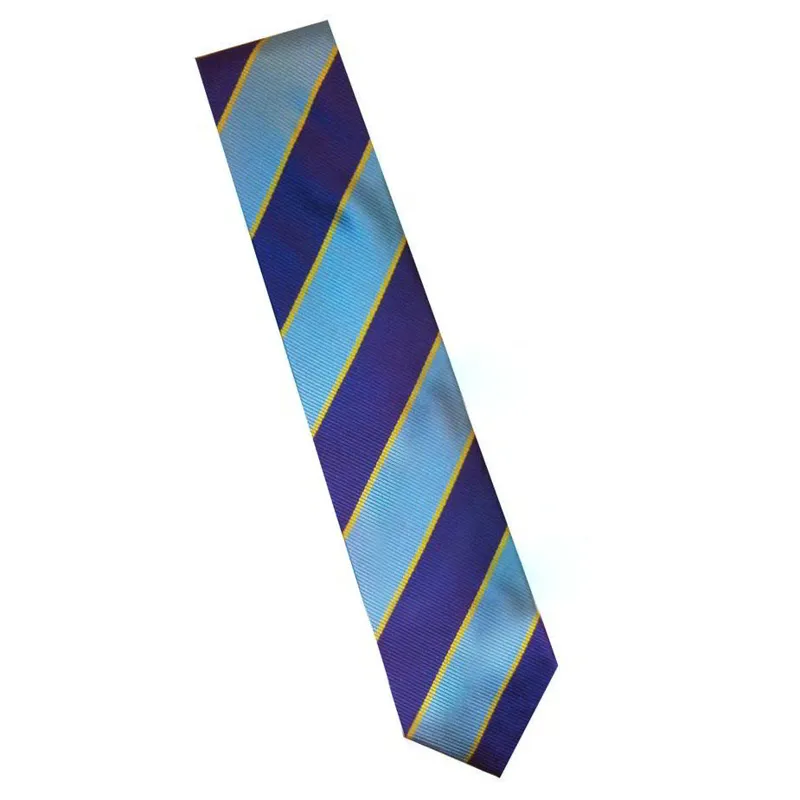 Equetech Junior Show Tie - PC/Grey/Purple/Gold