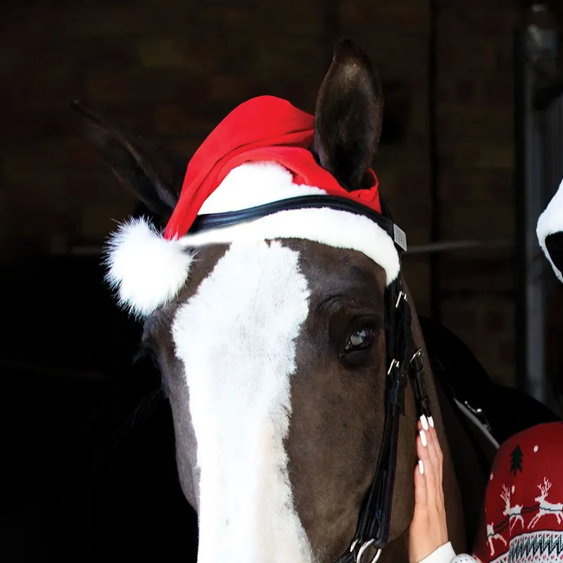 Equetech Santa Horse Hat-1