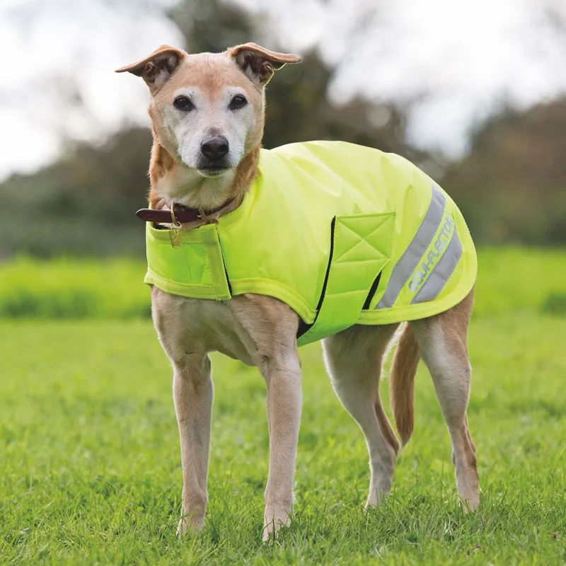 EQUI-FLECTOR Waterproof Dog Coat - High-Vis Yellow