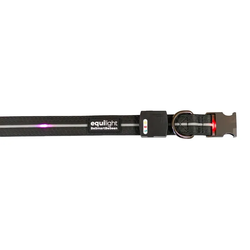 Equi Light LED Rechargeable Dog Collar - Black-1