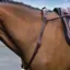 Equi-Sential Leather Neck Strap with Handle - Brown