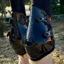 eQuick Triumph Fetlock Boots - Black