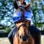 eQuick eVysor Eye Protector Horse Goggles - Mirrored Blue