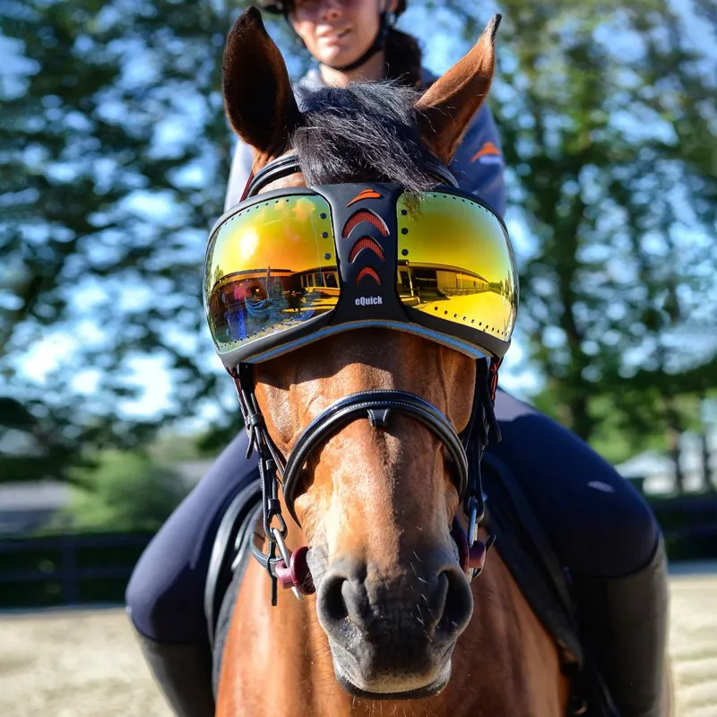 eQuick eVysor Eye Protector Horse Goggles - Mirrored Orange