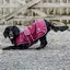 EQUIDRY Waterproof Dog Coat - Plum/Gray