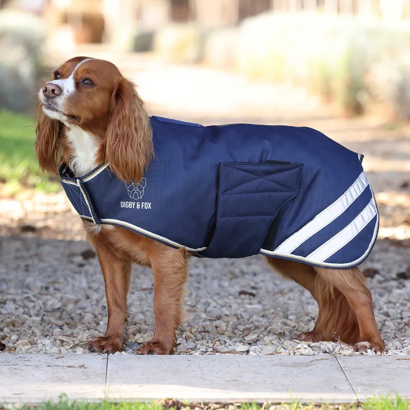 Digby and Fox Waterproof Lite Dog Coat - Navy