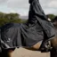 EQUIDRY Waterproof Thick Fleece Lined Quarter Sheet - Black/Lilac