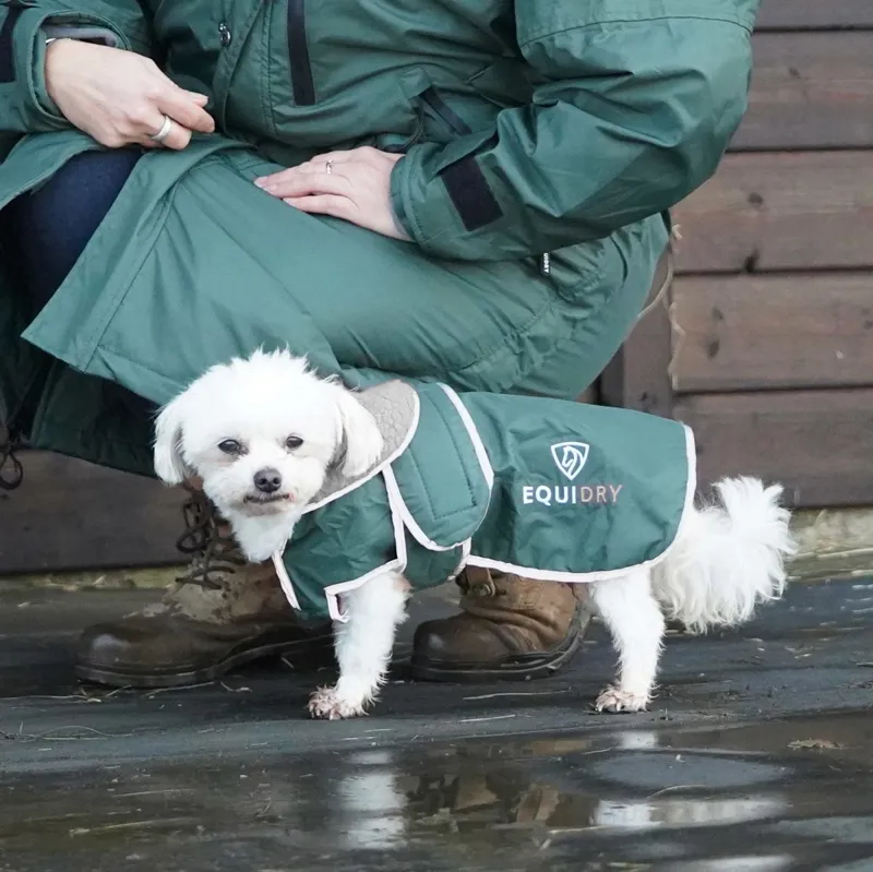 EQUIDRY Waterproof Dog Coat - Black Forest Green/Grey-4