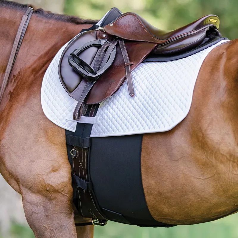 Equifit BellyBand+ Spur Belly Guard - Black