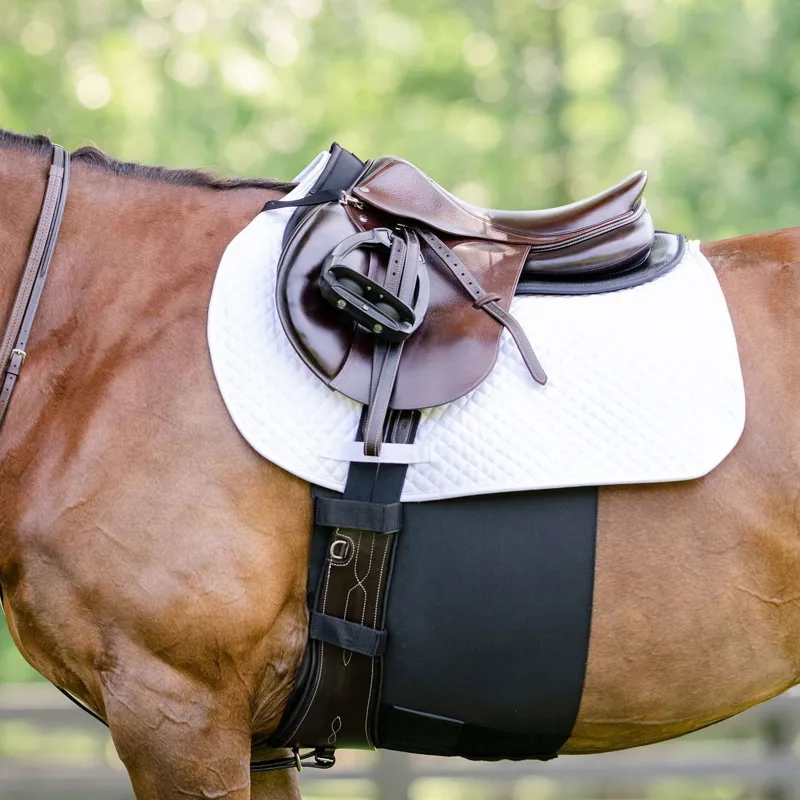 Equifit BellyBand+ Spur Belly Guard - Black-1