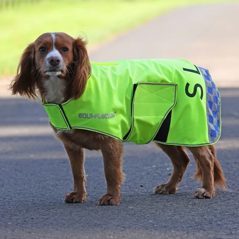 EQUI-FLECTOR Mesh Reflective Dog Coat - Yellow-1