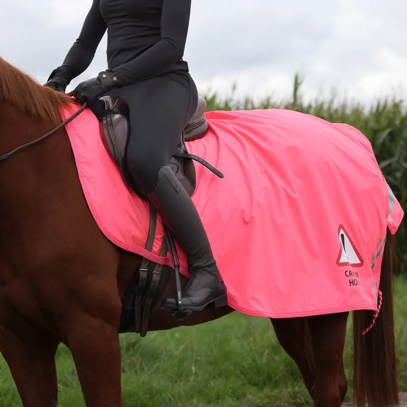 EQUI-FLECTOR Waterproof Quarter Sheet - Pink-5