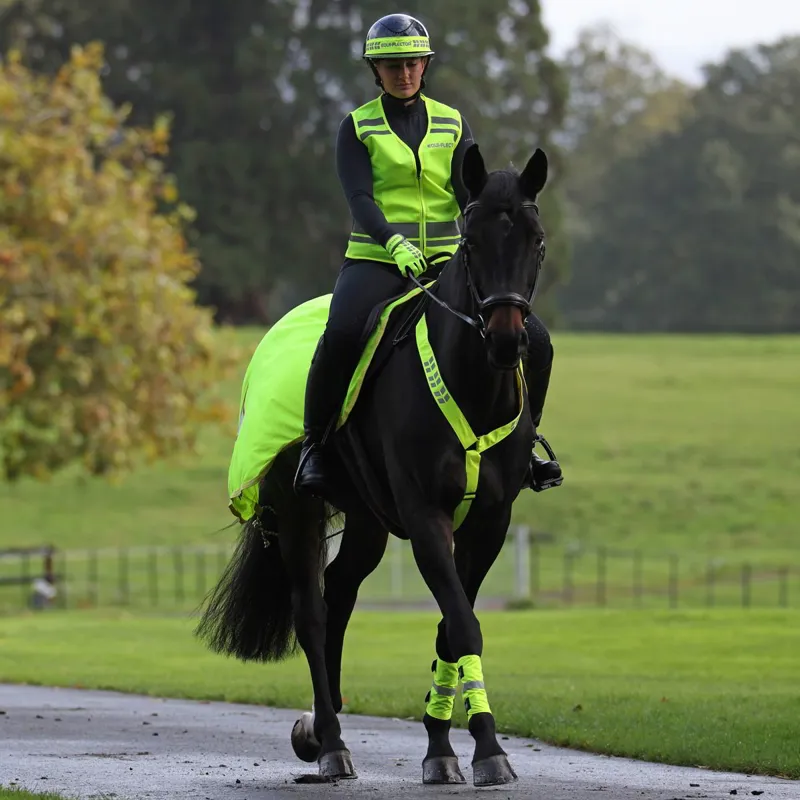 EQUI-FLECTOR Mesh Exercise Sheet - Yellow-1