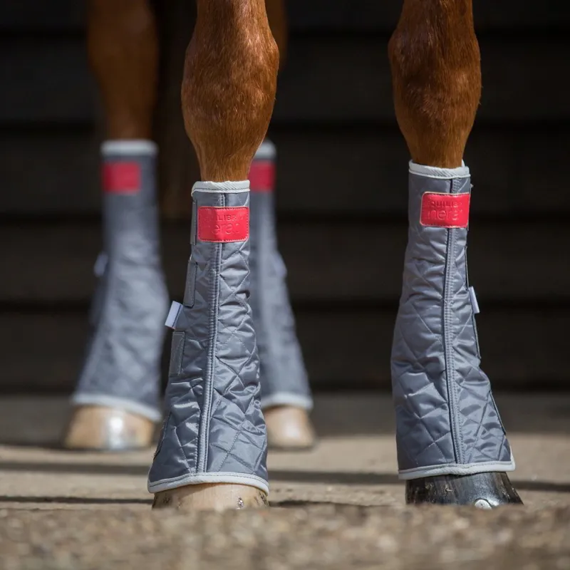 Equilibrium Magnetic Chaps - Grey