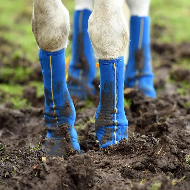 Equilibrium Equi-Chaps Close Contact Turnout Mud Chaps - Navy/Yellow-1