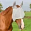 Equilibrium Field Relief Midi Fly Mask With Ears - Gray/Yellow
